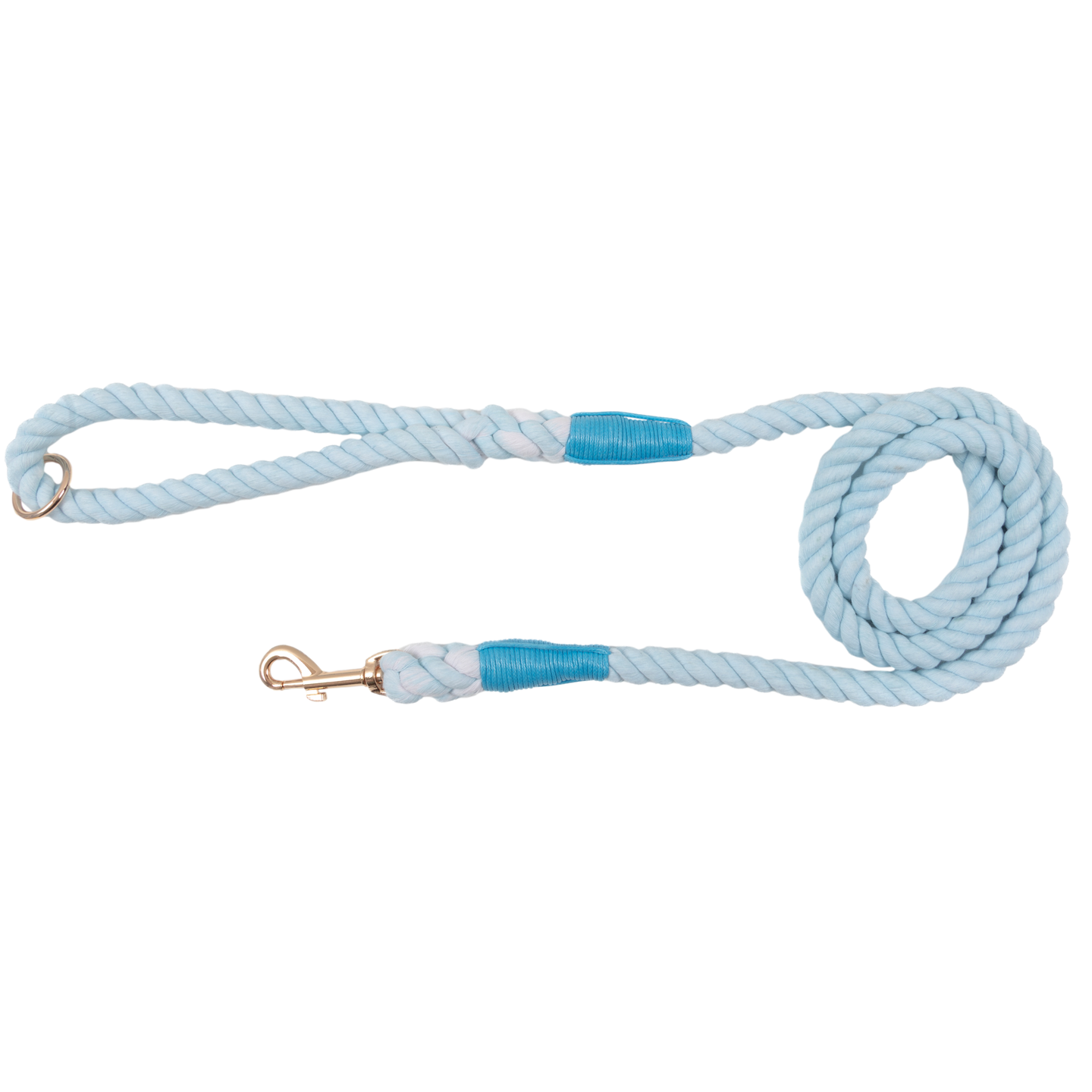 DOG ROPE LEASH: Blue