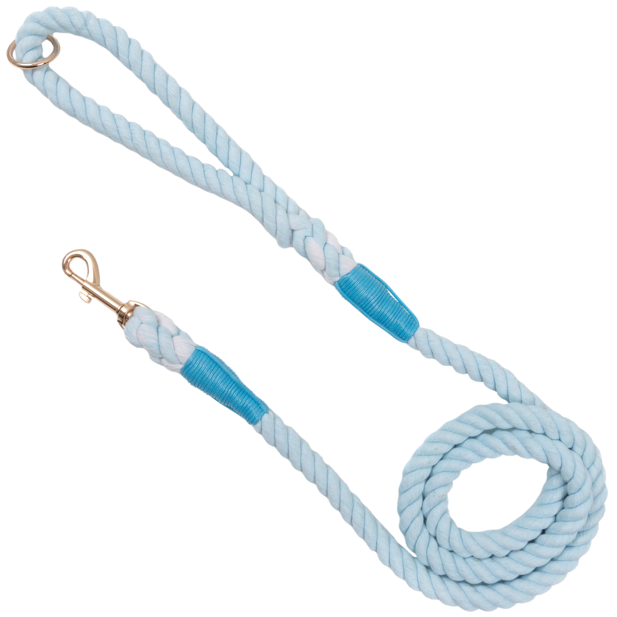 DOG ROPE LEASH: Blue