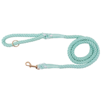 DOG ROPE LEASH: Green