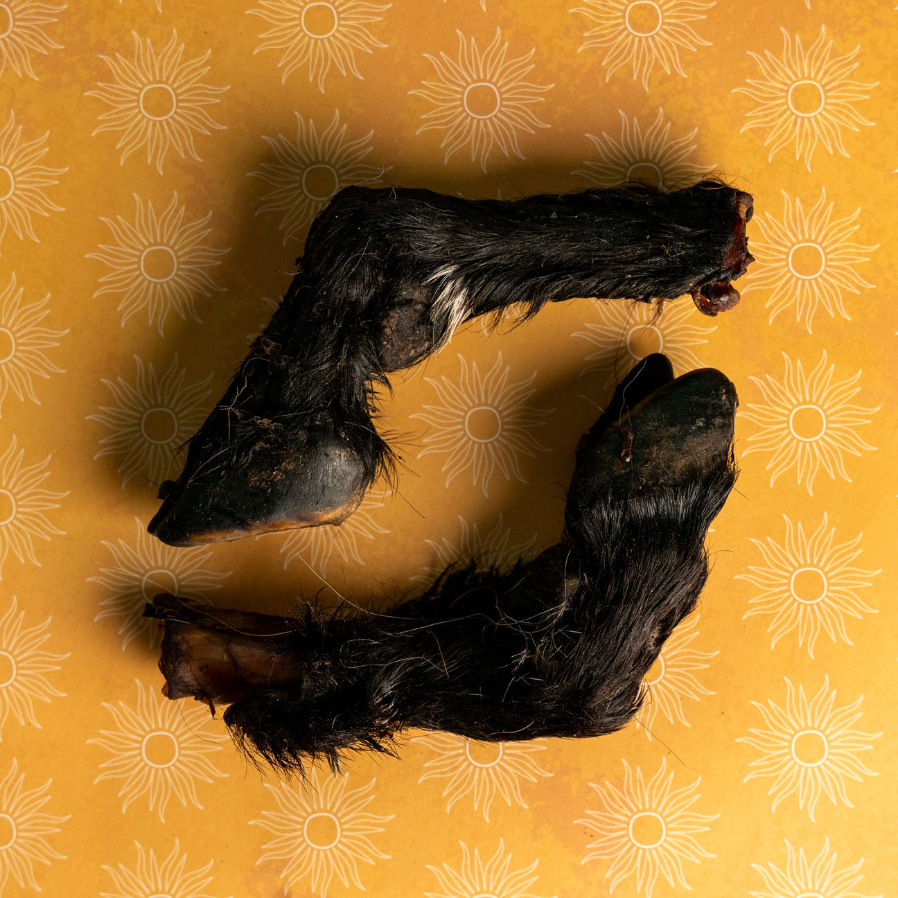 Pick 'n' Mix | Goat Trotter with Fur | 1 Pce