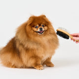Dr Zoo: Bamboo Grooming Brush