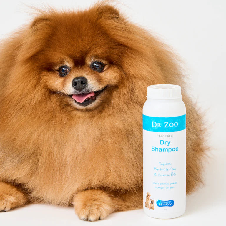 Dr Zoo: Talc Free Dry Shampoo 200g
