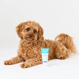 Dr Zoo: Leave-In Conditioner 50g