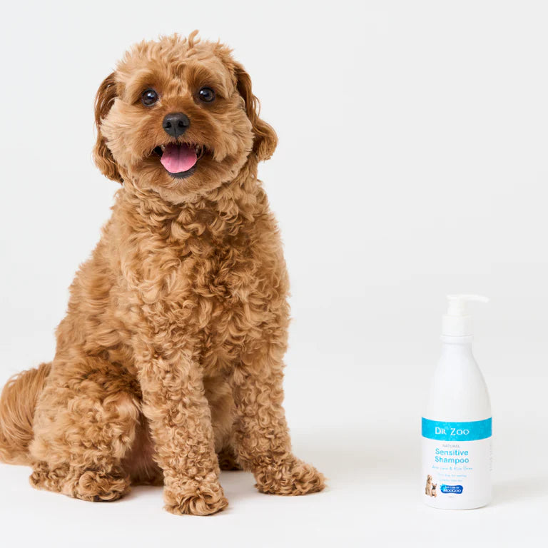 Dr Zoo: Natural Sensitive Shampoo 500ml