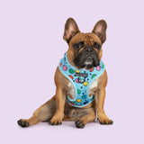 Adjustable Dog Harness Be Happy Smiley Faces Colourful