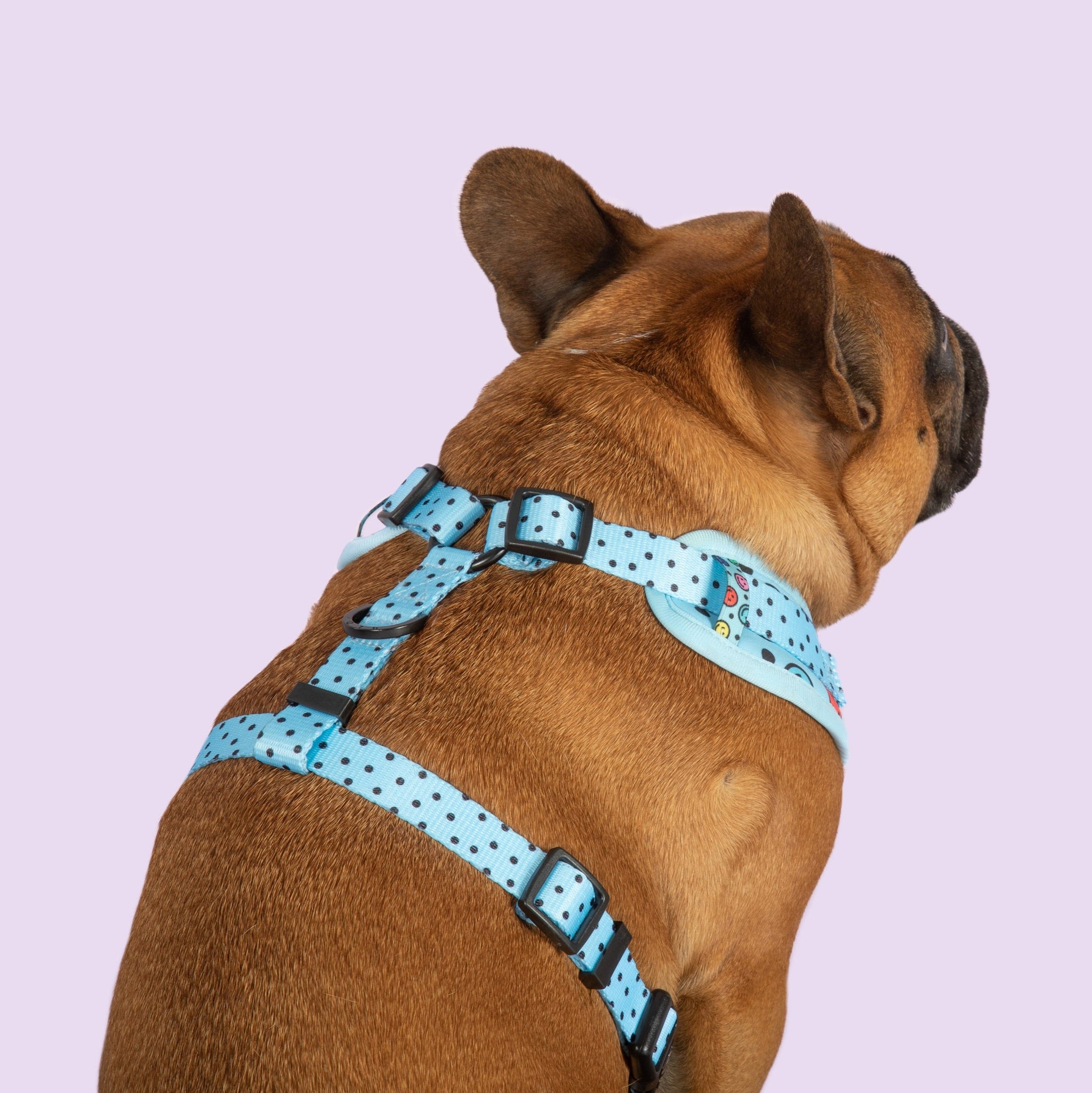 Adjustable Dog Harness Be Happy Smiley Faces Colourful