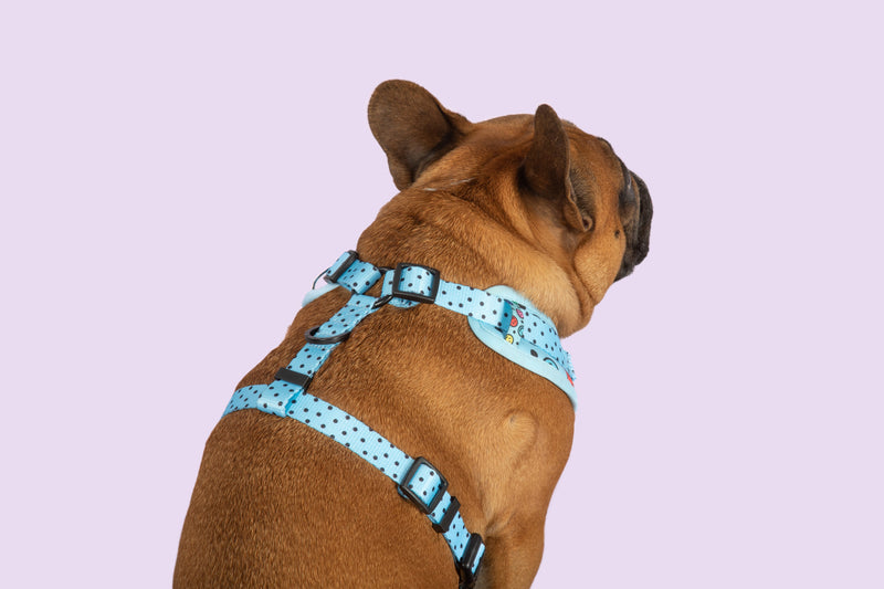 Adjustable Dog Harness Be Happy Smiley Faces Colourful