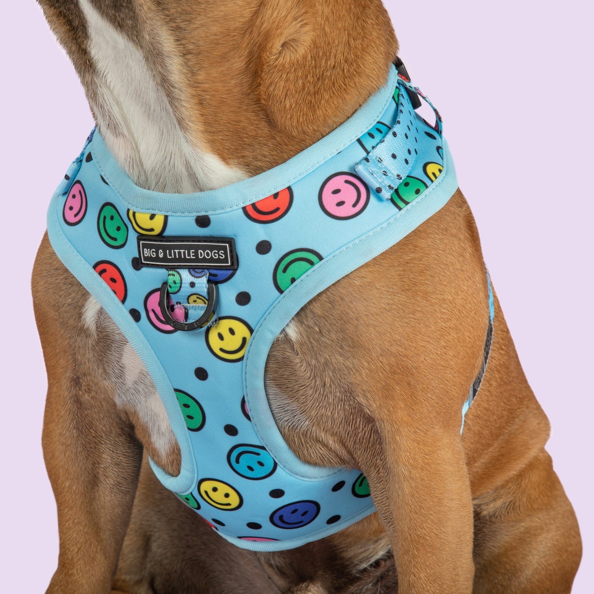 Adjustable Dog Harness Be Happy Smiley Faces ColourfulAdjustable Dog Harness Be Happy Smiley Faces Colourful