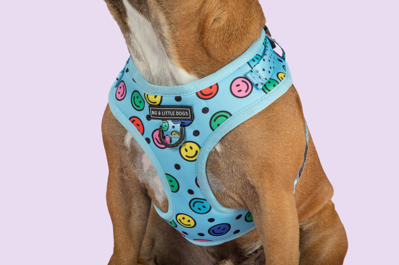 Adjustable Dog Harness Be Happy Smiley Faces ColourfulAdjustable Dog Harness Be Happy Smiley Faces Colourful