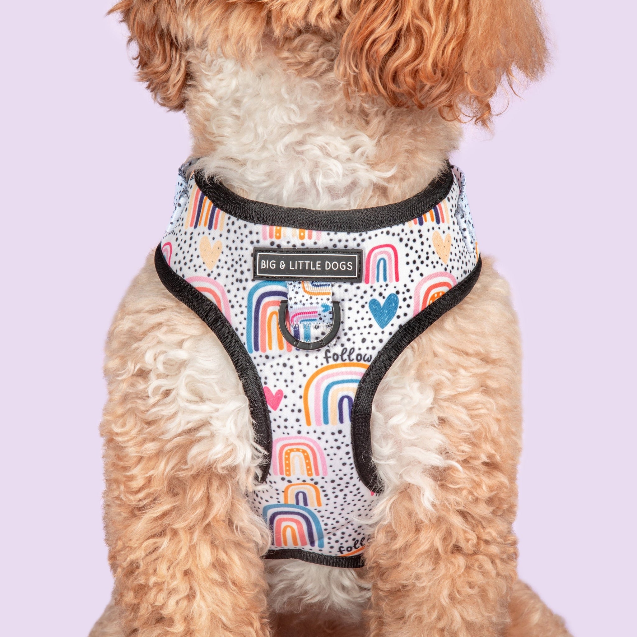 Adjustable Dog Harness Chasing Rainbows