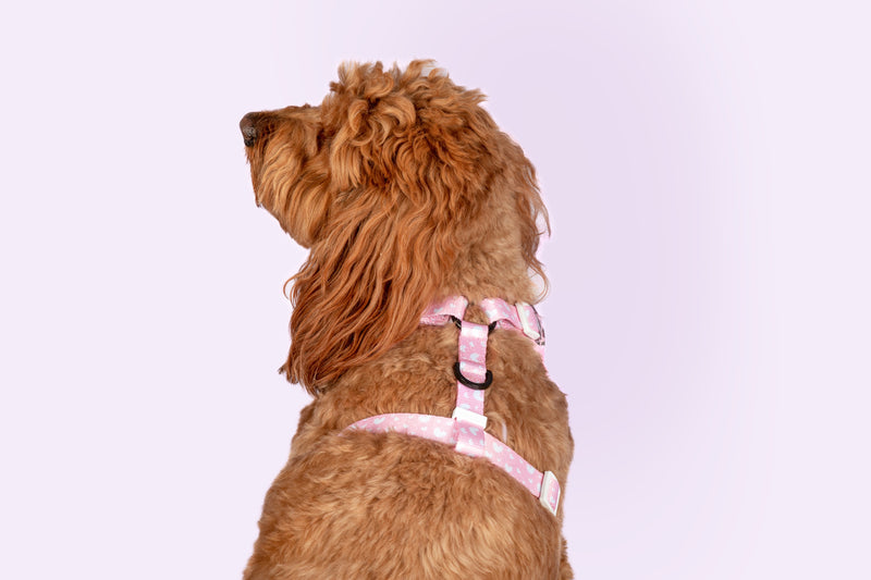 Adjustable Dog Harness Fries Before Guys Hot Chips Pink