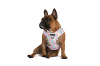 ADJUSTABLE DOG HARNESS: Gelato