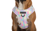 ADJUSTABLE DOG HARNESS: Gelato