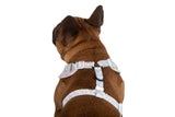 ADJUSTABLE DOG HARNESS: Gelato