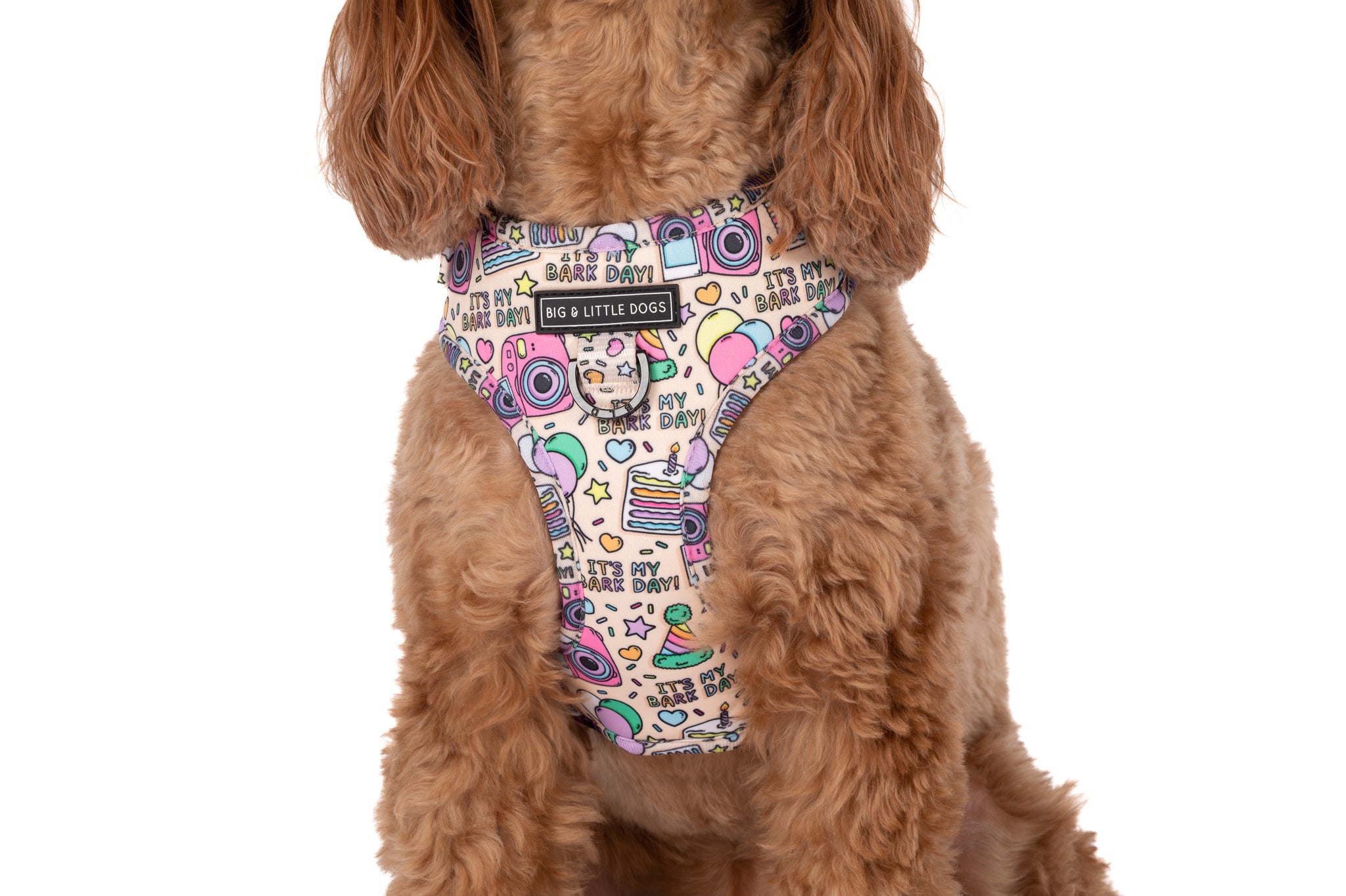 ADJUSTABLE DOG HARNESS: It's My Bark Day