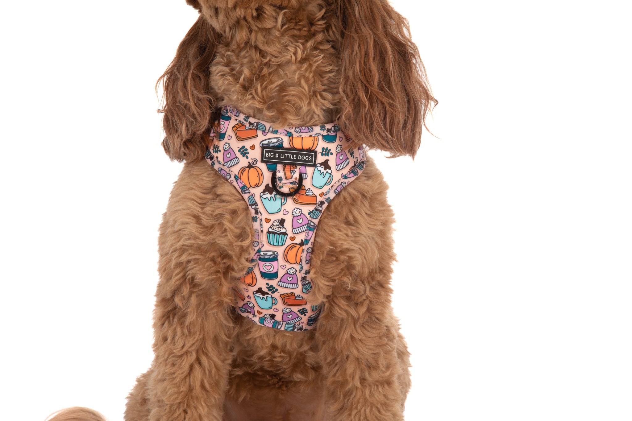 ADJUSTABLE DOG HARNESS: Pupkin Spice {FINAL SALE}