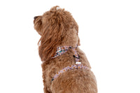 ADJUSTABLE DOG HARNESS: Pupkin Spice {FINAL SALE}