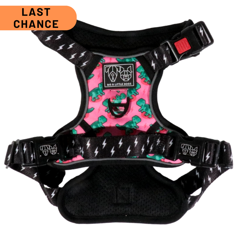 THE ALL-ROUNDER DOG HARNESS: Princess-asaurus {FINAL SALE}