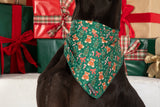 DOG BANDANA: A Beary Merry Christmas