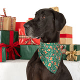 DOG BANDANA: A Beary Merry Christmas