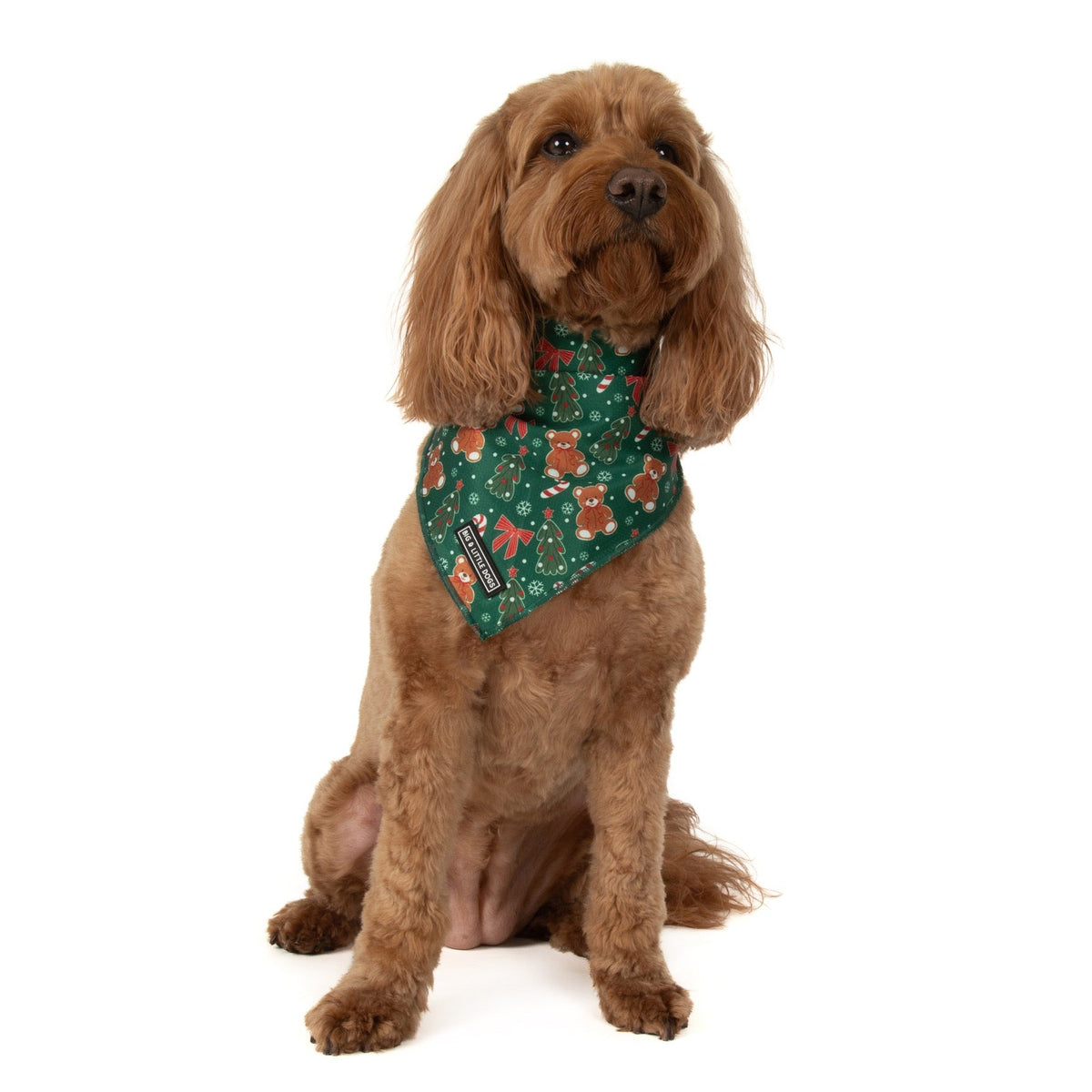 DOG BANDANA: A Beary Merry Christmas