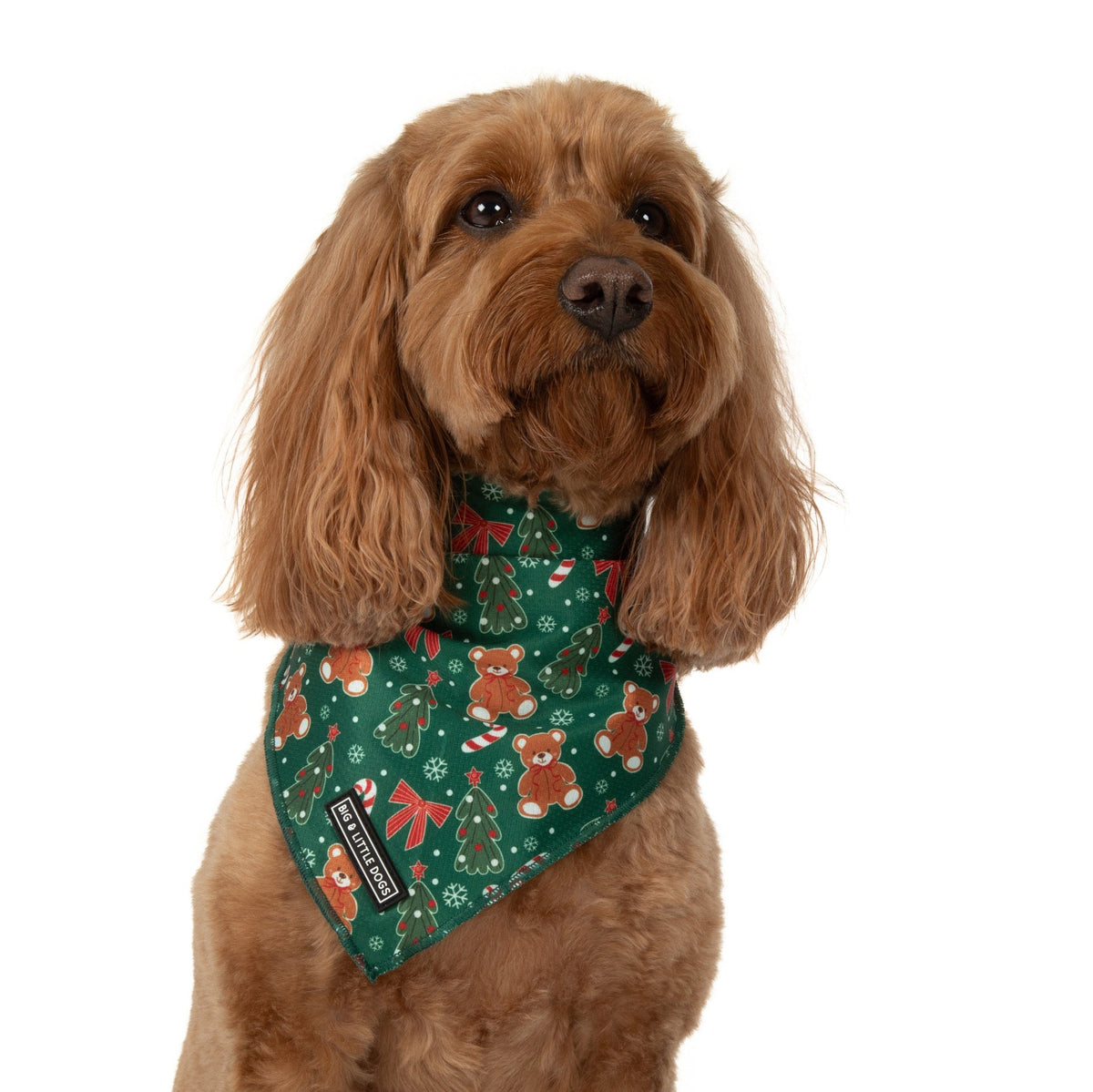 DOG BANDANA: A Beary Merry Christmas