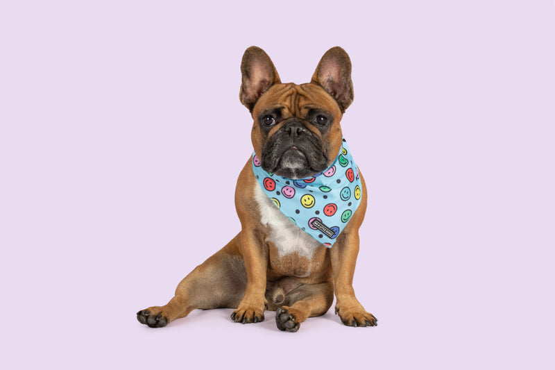 Dog Cooling Bandana Be Happy Smiley Faces Blue Colorful