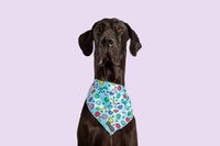 Dog Cooling Bandana Be Happy Smiley Faces Blue Colorful