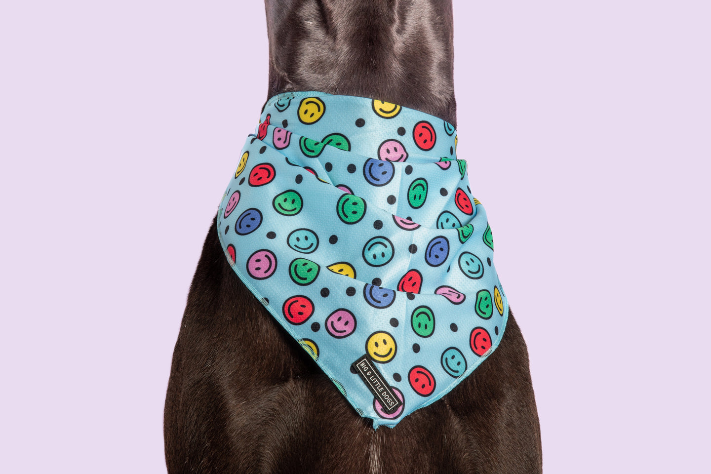 Dog Cooling Bandana Be Happy Smiley Faces Blue Colorful