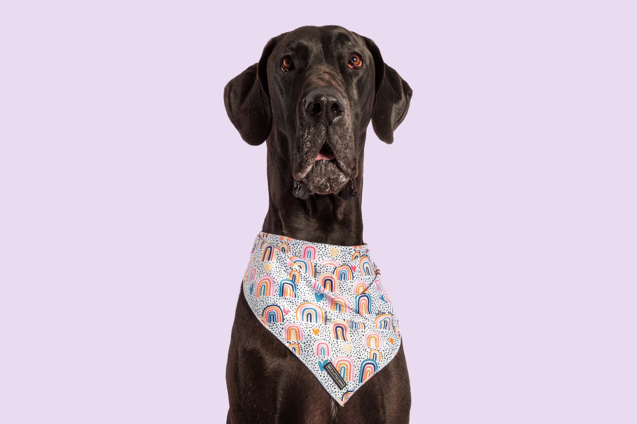 Dog Cooling Bandana Chasing Rainbows Boho