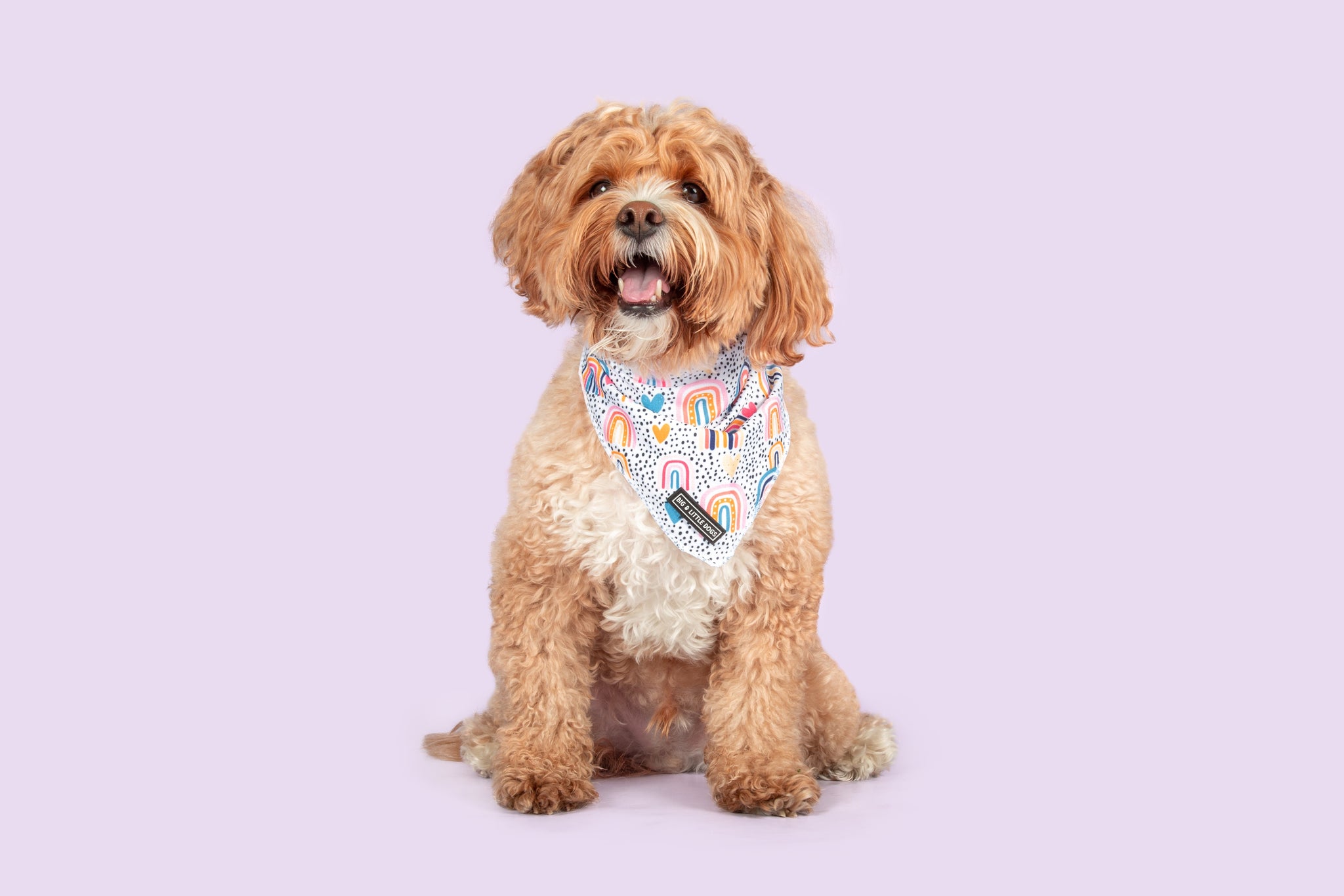 Dog Cooling Bandana Chasing Rainbows Boho