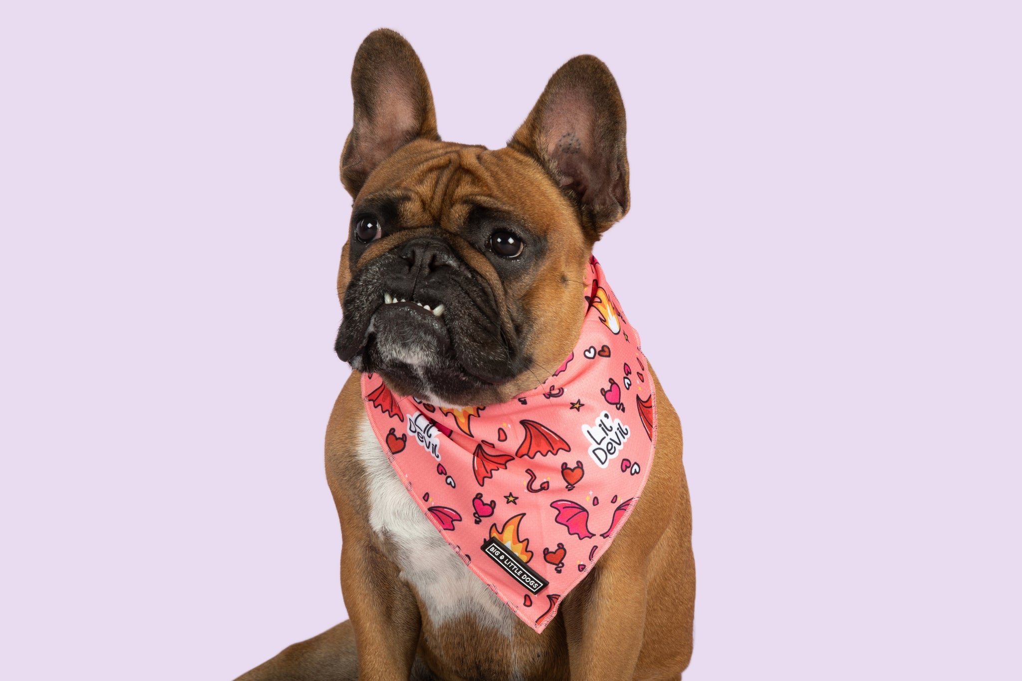 Dog Cooling Bandana Lil Devil Wings Hearts Stars Flames