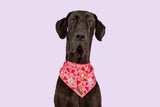 Dog Cooling Bandana Lil Devil Wings Hearts Stars Flames