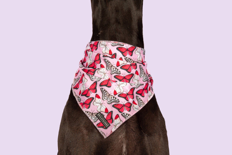 Dog Cooling Bandana Pretty Lil Butterfly Wings Pink White Red