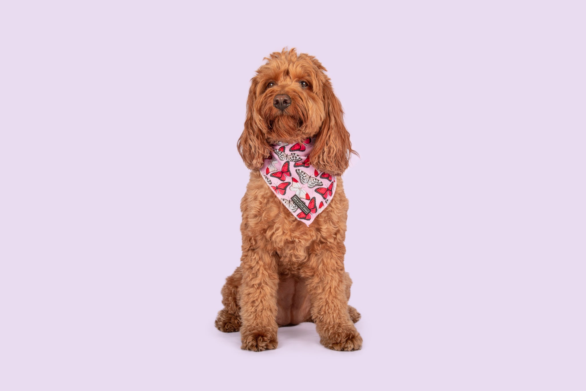 Dog Cooling Bandana Pretty Lil Butterfly Wings Pink White Red