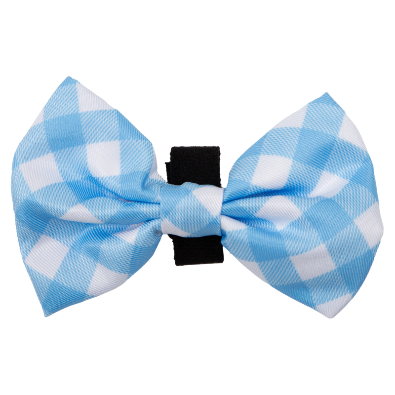 DOG COLLAR & BOW TIE: Blueberry Gingham (NEW!)