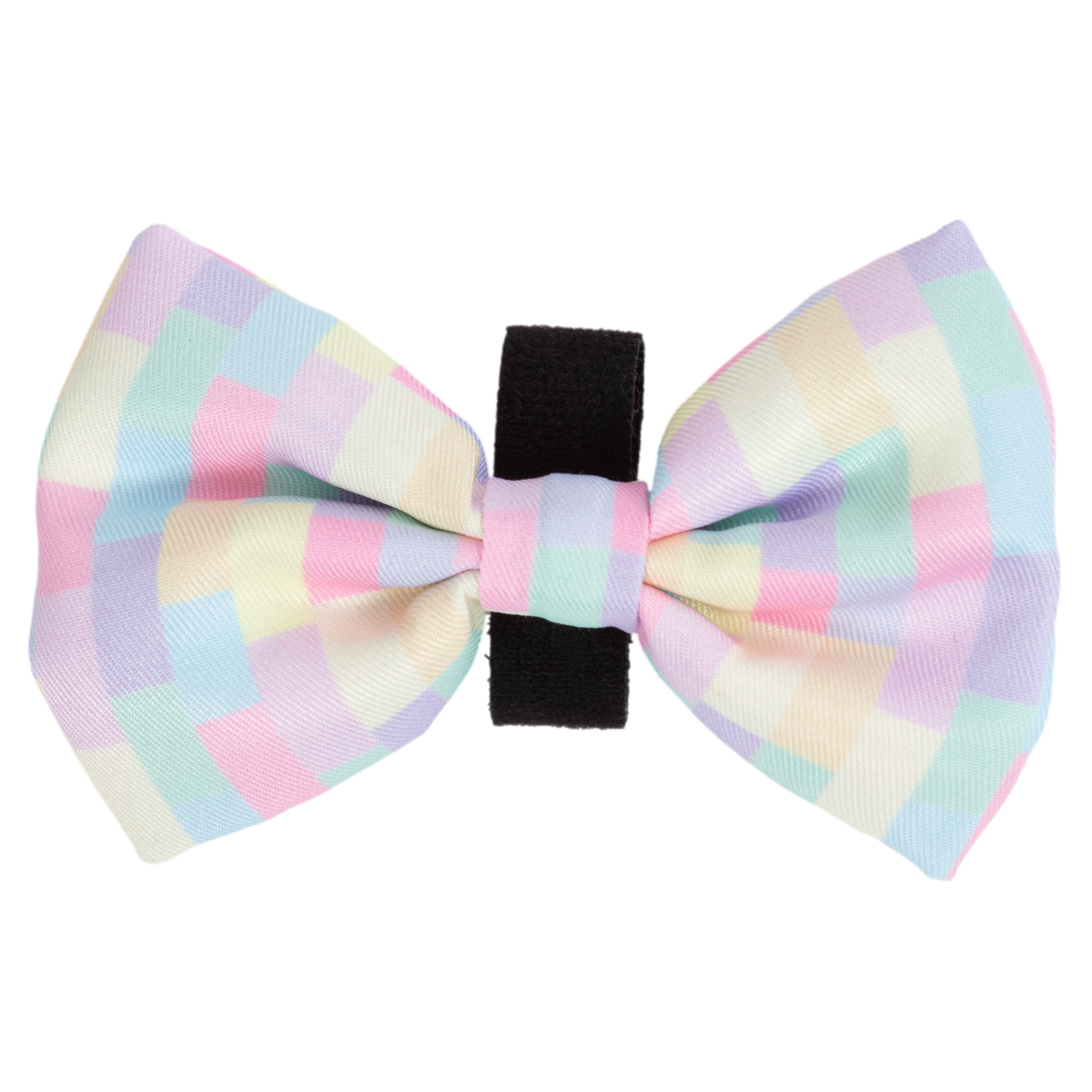 DOG BOW TIE | Gelato