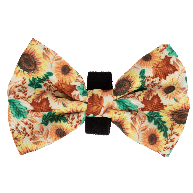 DOG BOW TIE | Winter Blooms