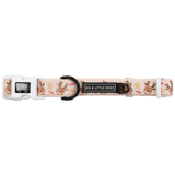 DOG COLLAR (+ BOW TIE option): Dashing Through The Stars