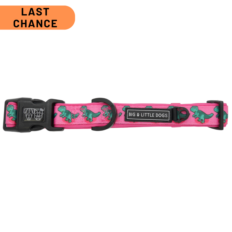 DOG COLLAR (+ BOW TIE option): Princess-asaurus {FINAL SALE}