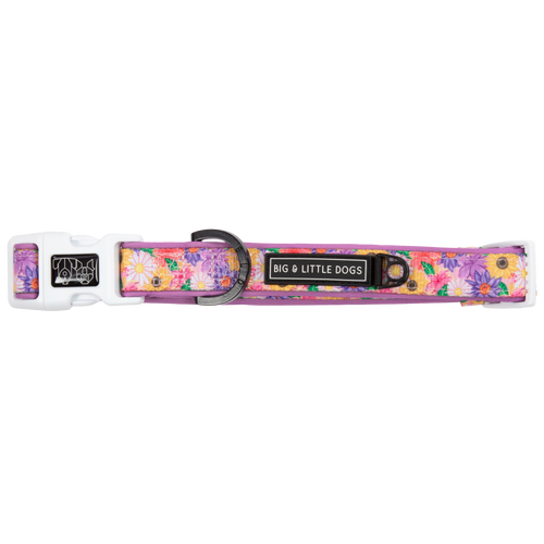 DOG COLLAR (+ BOW TIE option): Spring Fling