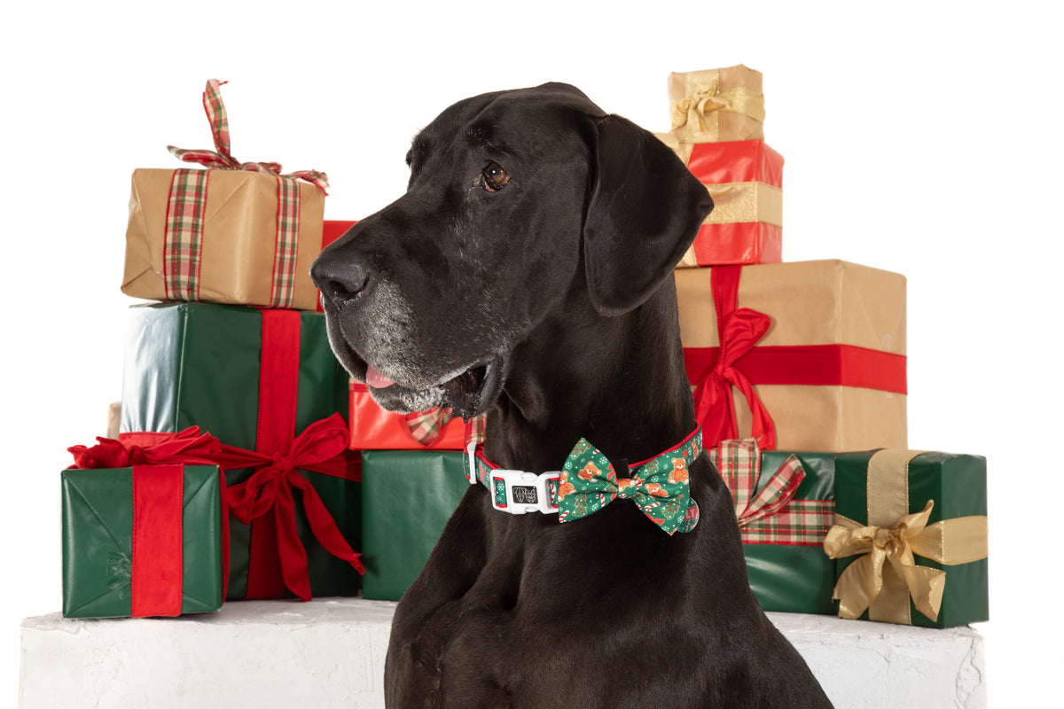 DOG COLLAR (+ BOW TIE option): A Beary Merry Christmas