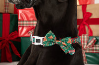 DOG COLLAR (+ BOW TIE option): A Beary Merry Christmas