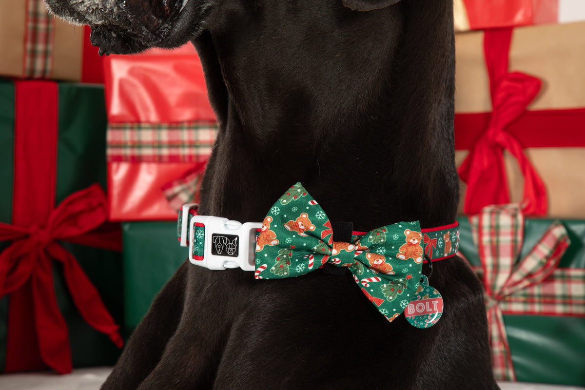 DOG COLLAR (+ BOW TIE option): A Beary Merry Christmas