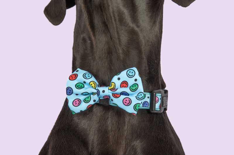Dog Collar and Bow Tie Be Happy Smiley Faces Colourful