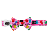 DOG COLLAR (+ BOW TIE option): Beary Sweet (NEW!)