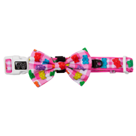 DOG COLLAR (+ BOW TIE option): Beary Sweet (NEW!)