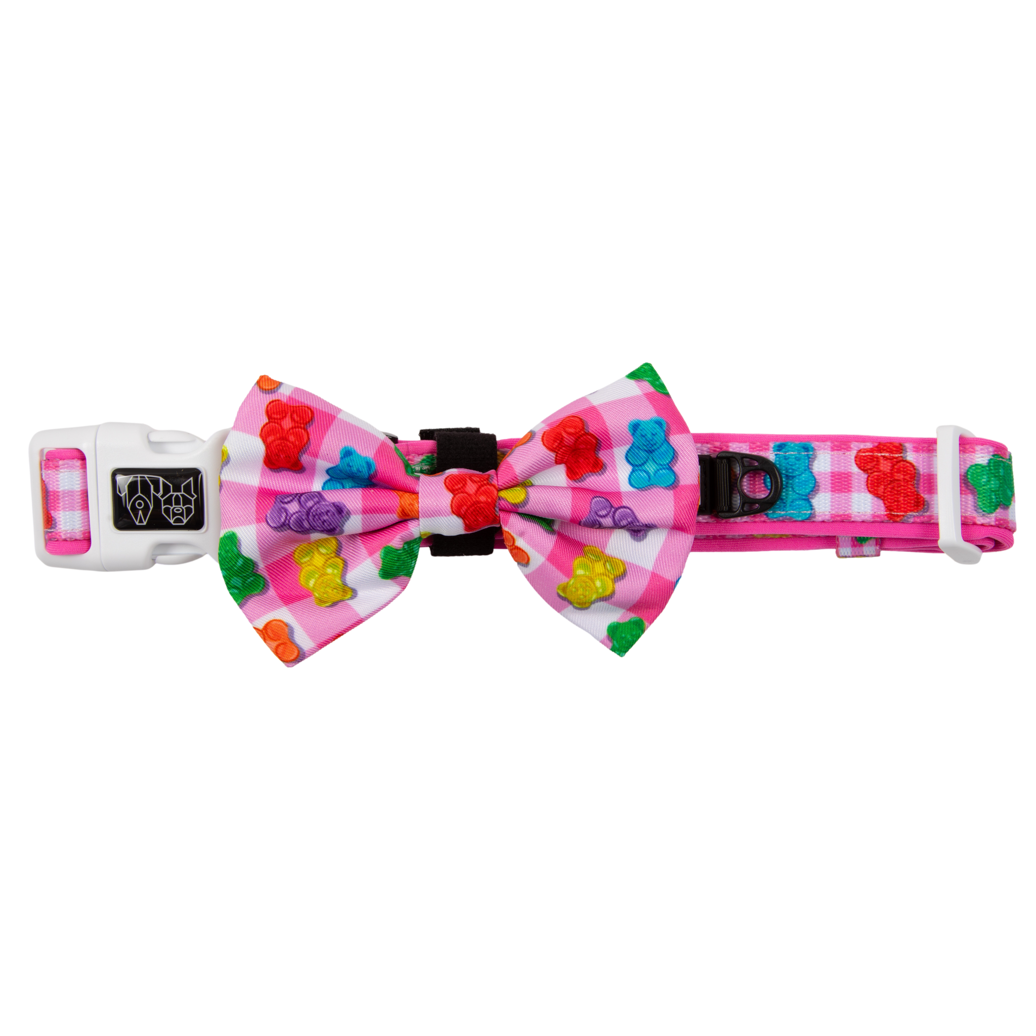 DOG COLLAR (+ BOW TIE option): Beary Sweet (NEW!)