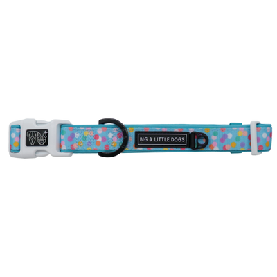 Dog Collar and Bow Tie Neoprene Lining Blue Confetti Birthday