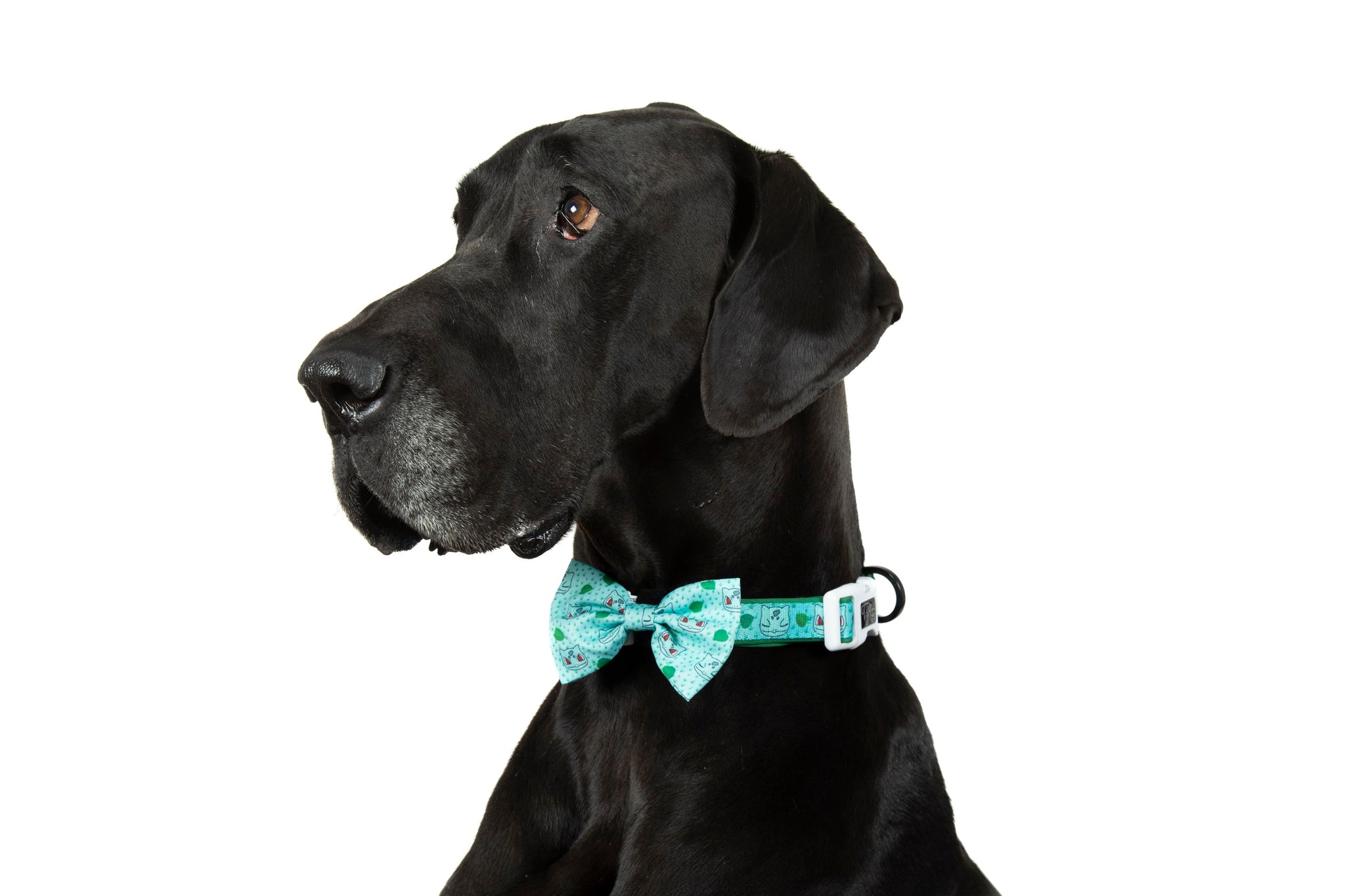 DOG COLLAR (+ BOW TIE option): Pokémon Collection - Bulbasaur
